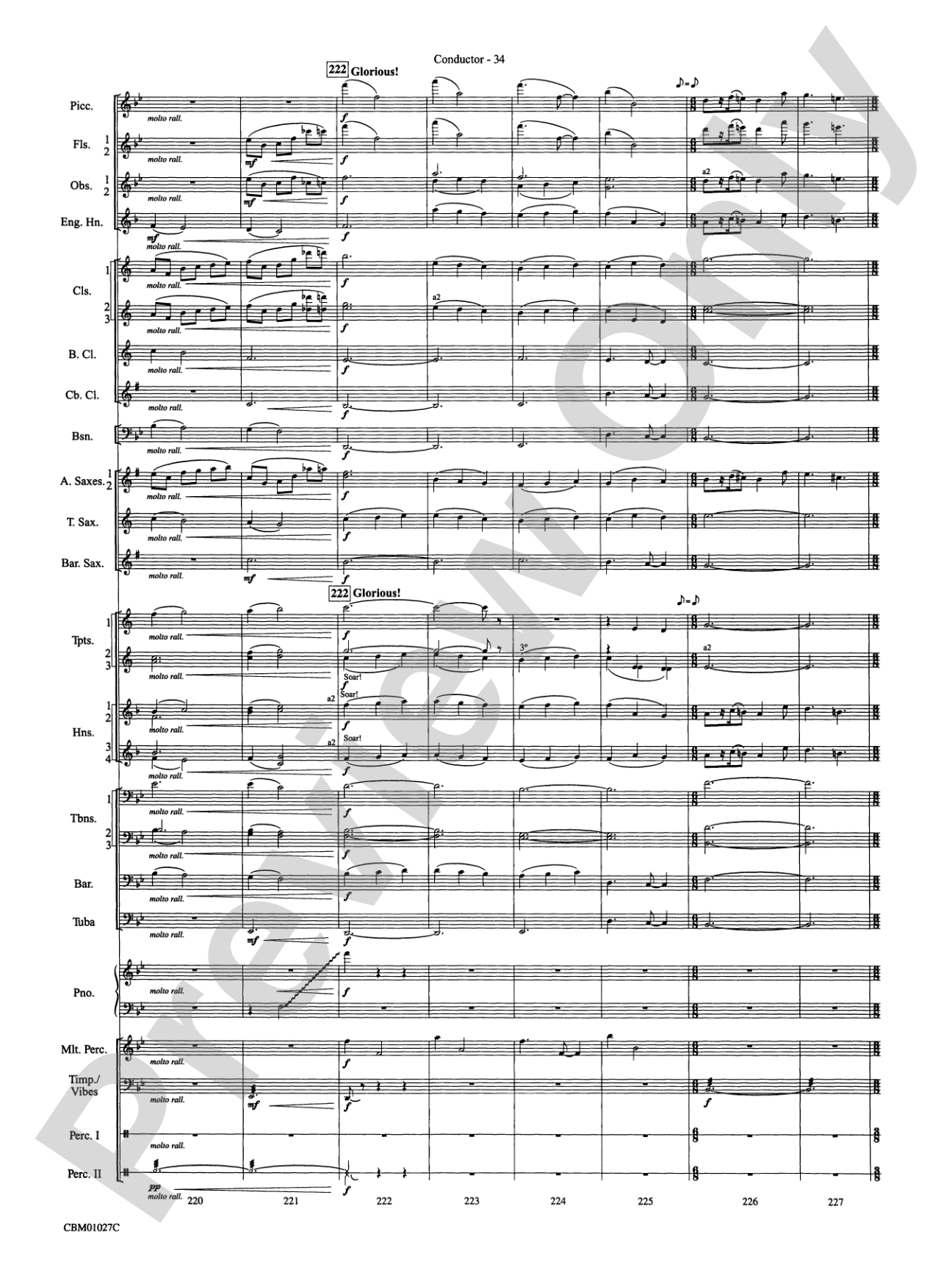 Harry Potter Symphonic Suite: Concert Band Conductor Score & Parts