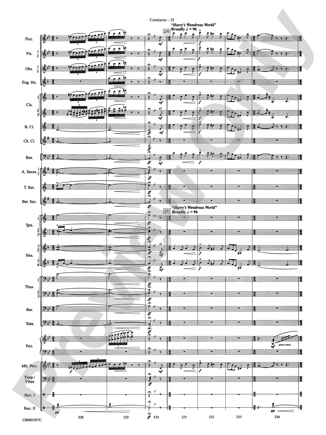 Harry Potter Symphonic Suite: Concert Band Conductor Score & Parts