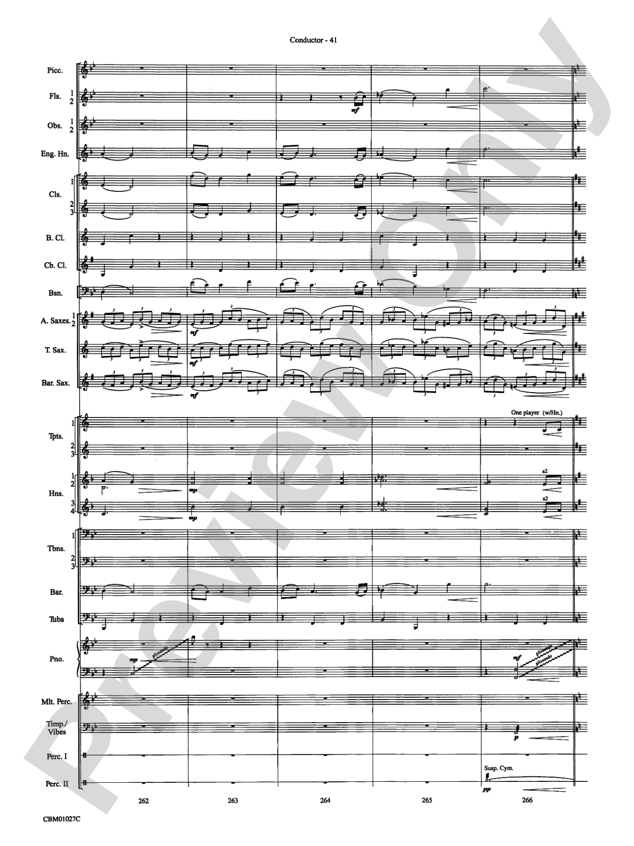 Harry Potter Symphonic Suite: Concert Band Conductor Score & Parts