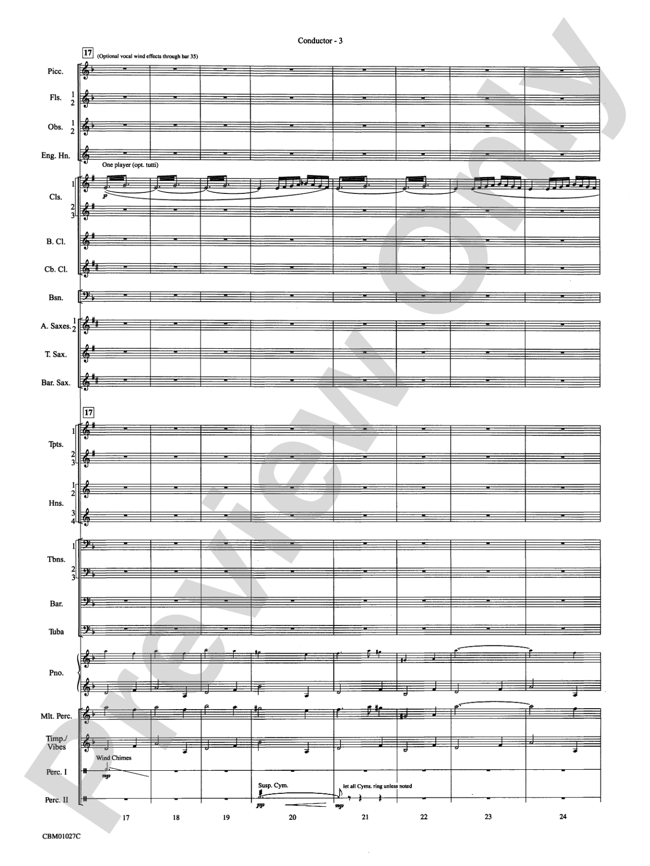 Harry Potter Symphonic Suite: Concert Band Conductor Score & Parts
