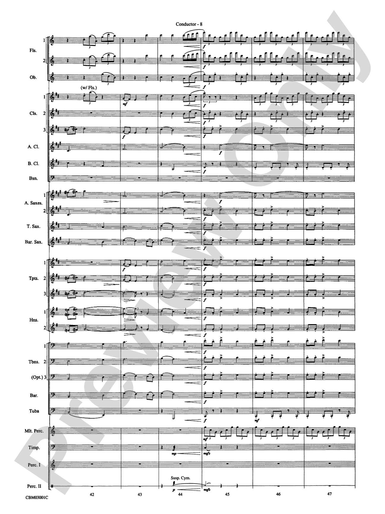 Harry's Wondrous World (from Harry Potter and the Chamber of Secrets): Concert Band Conductor Score & Parts