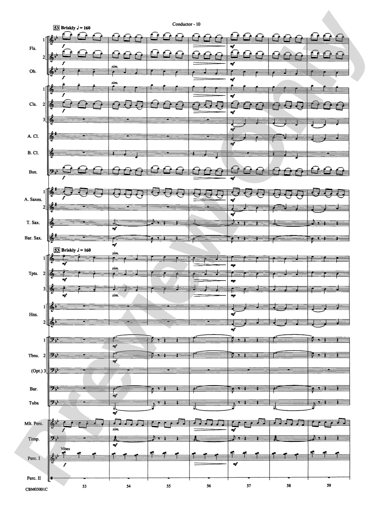 Harry's Wondrous World (from Harry Potter and the Chamber of Secrets): Concert Band Conductor Score & Parts