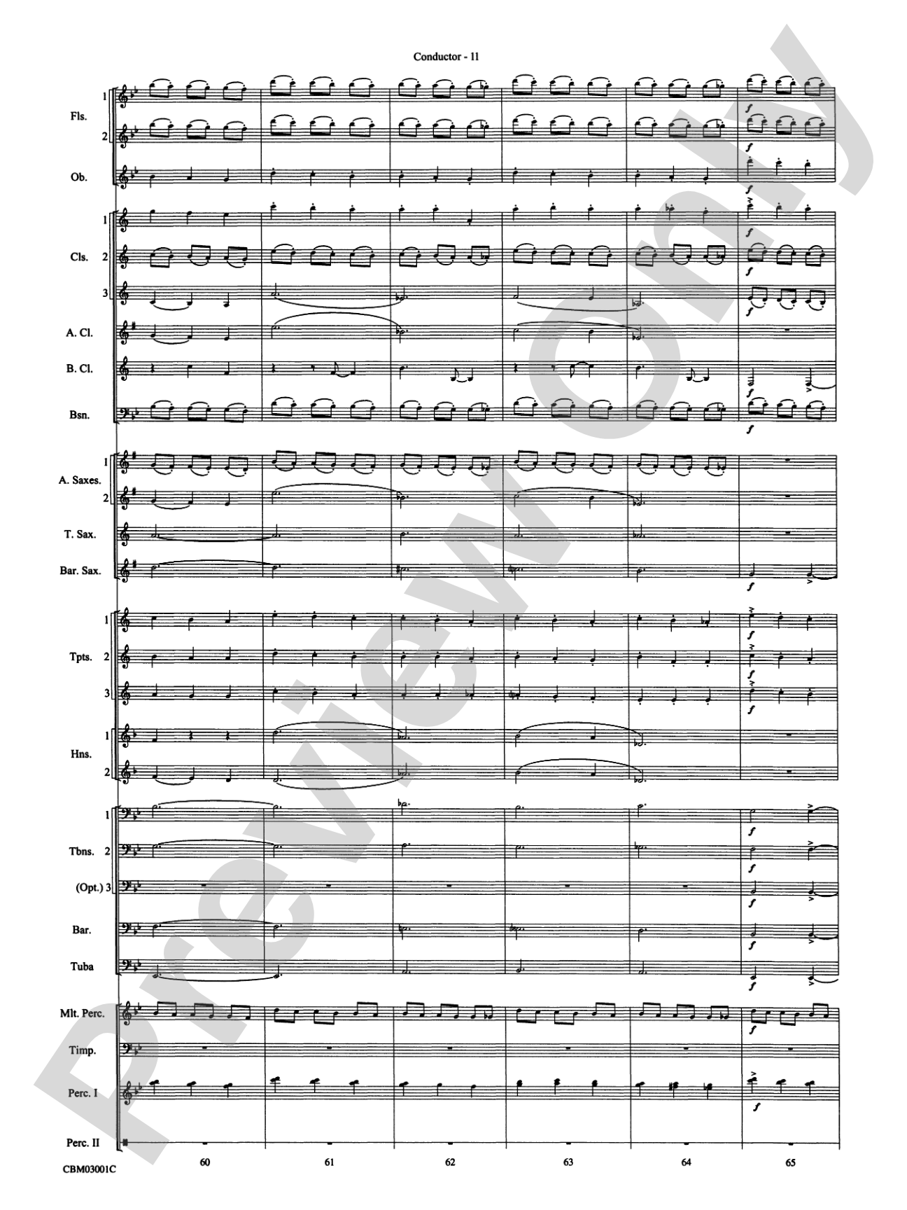 Harry's Wondrous World (from Harry Potter and the Chamber of Secrets): Concert Band Conductor Score & Parts