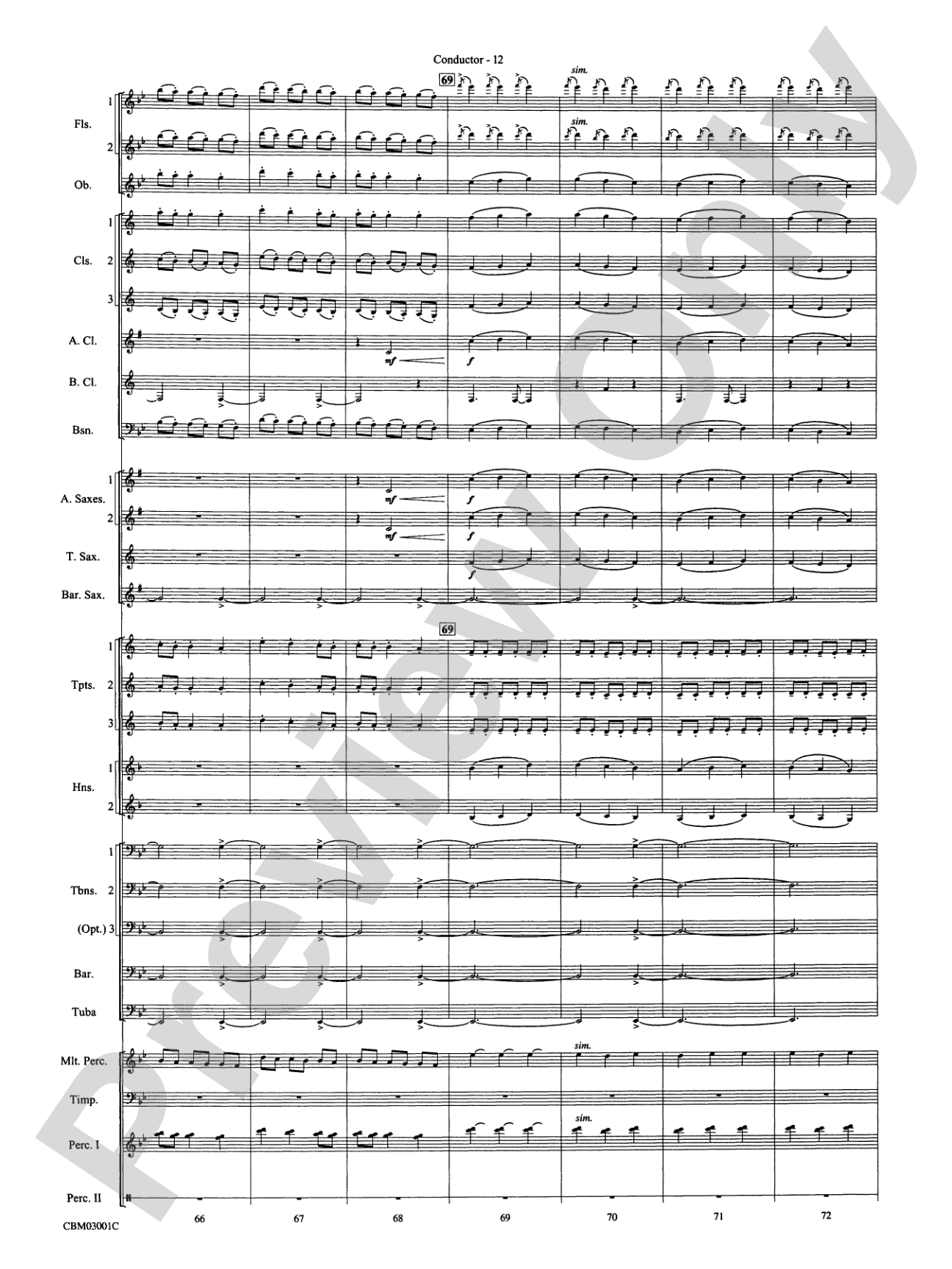 Harry's Wondrous World (from Harry Potter and the Chamber of Secrets): Concert Band Conductor Score & Parts