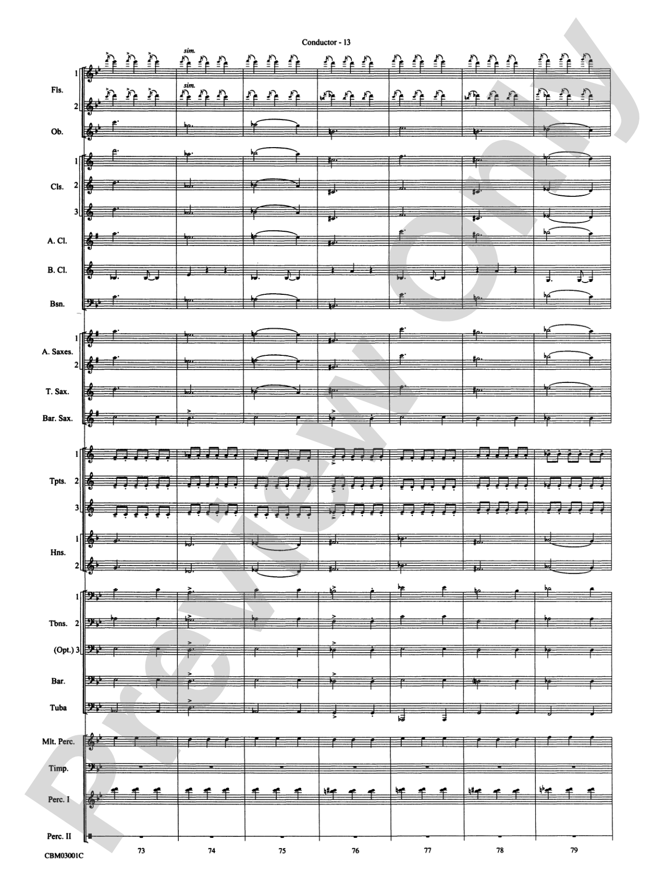 Harry's Wondrous World (from Harry Potter and the Chamber of Secrets): Concert Band Conductor Score & Parts