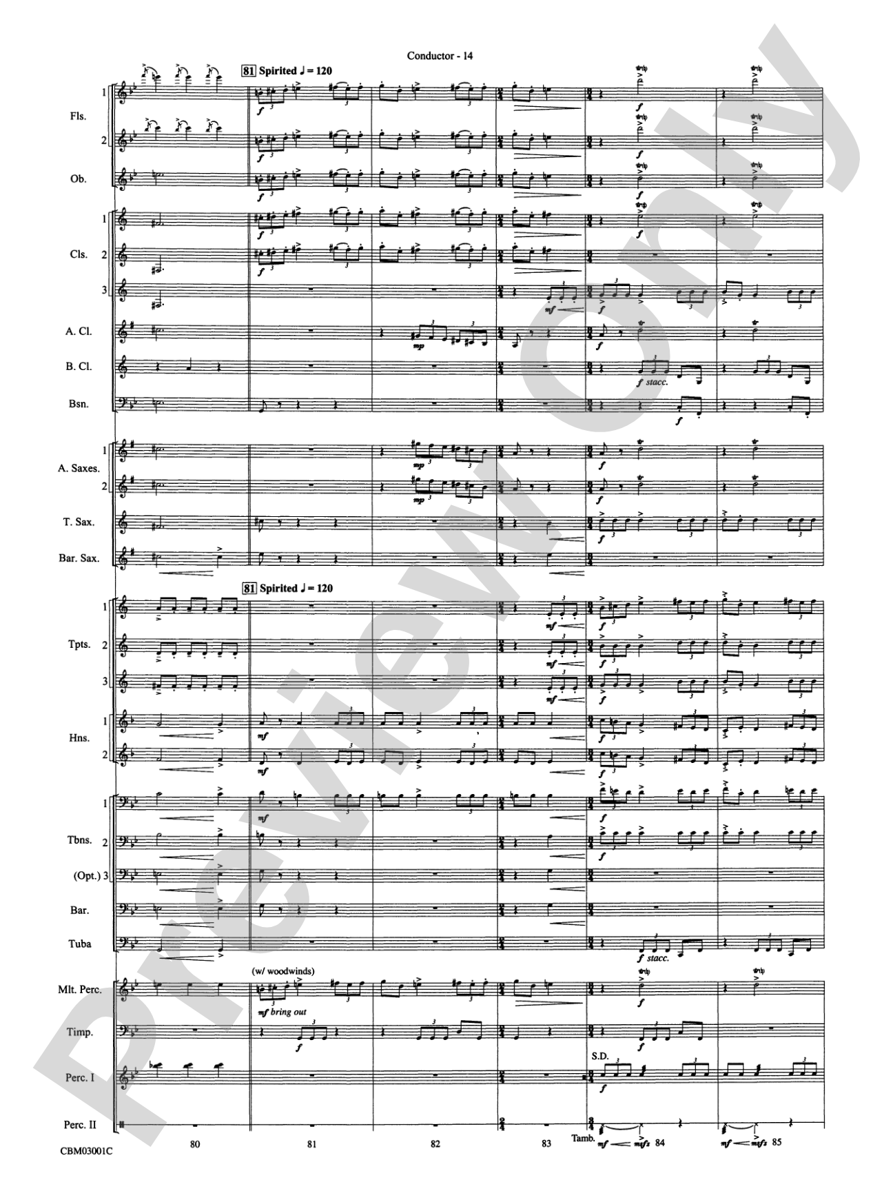 Harry's Wondrous World (from Harry Potter and the Chamber of Secrets): Concert Band Conductor Score & Parts