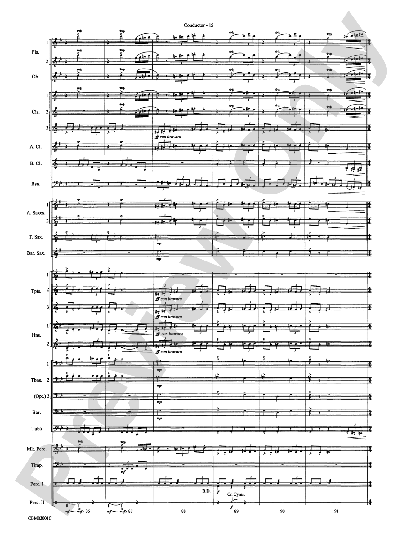 Harry's Wondrous World (from Harry Potter and the Chamber of Secrets): Concert Band Conductor Score & Parts
