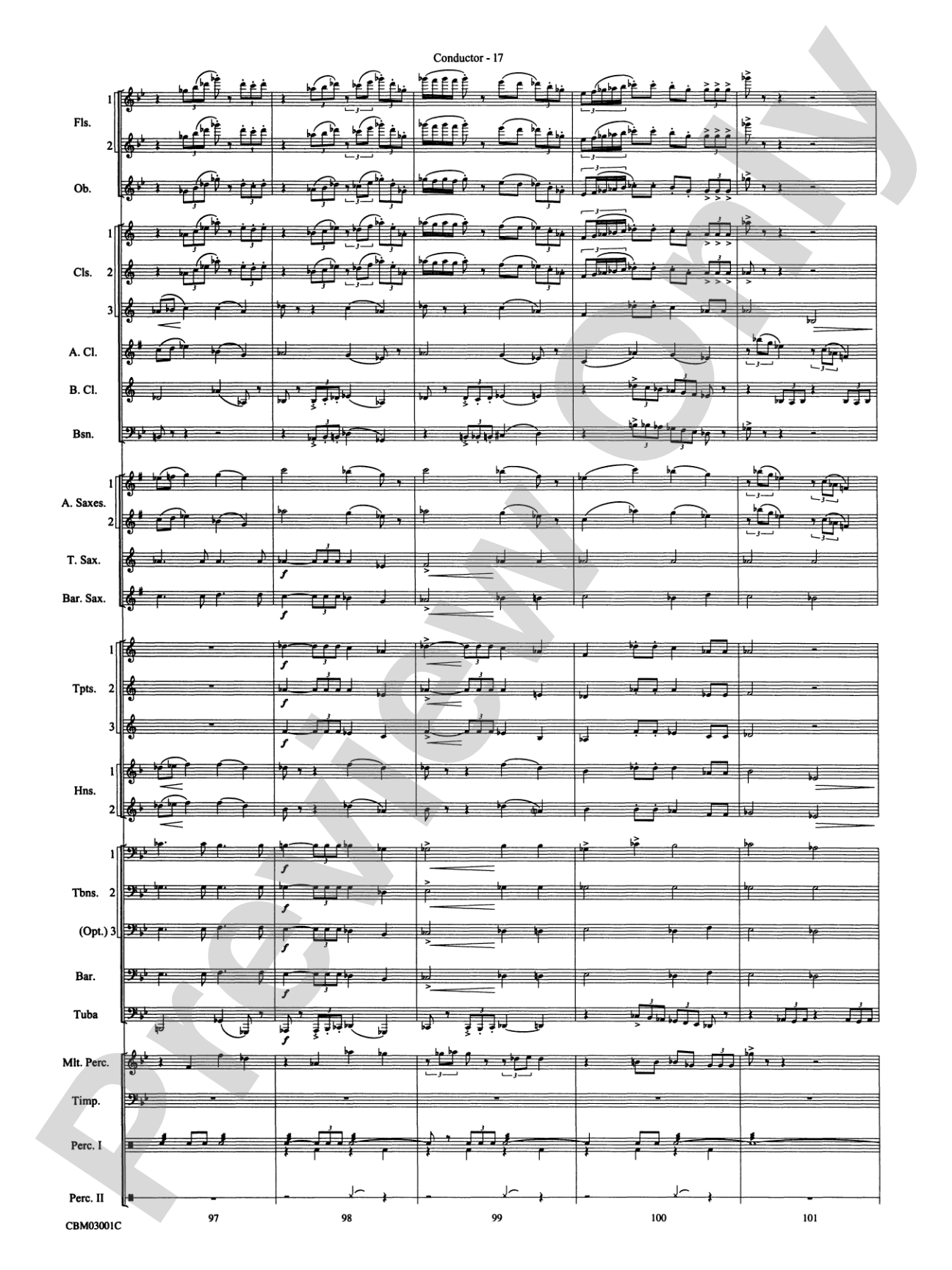 Harry's Wondrous World (from Harry Potter and the Chamber of Secrets): Concert Band Conductor Score & Parts