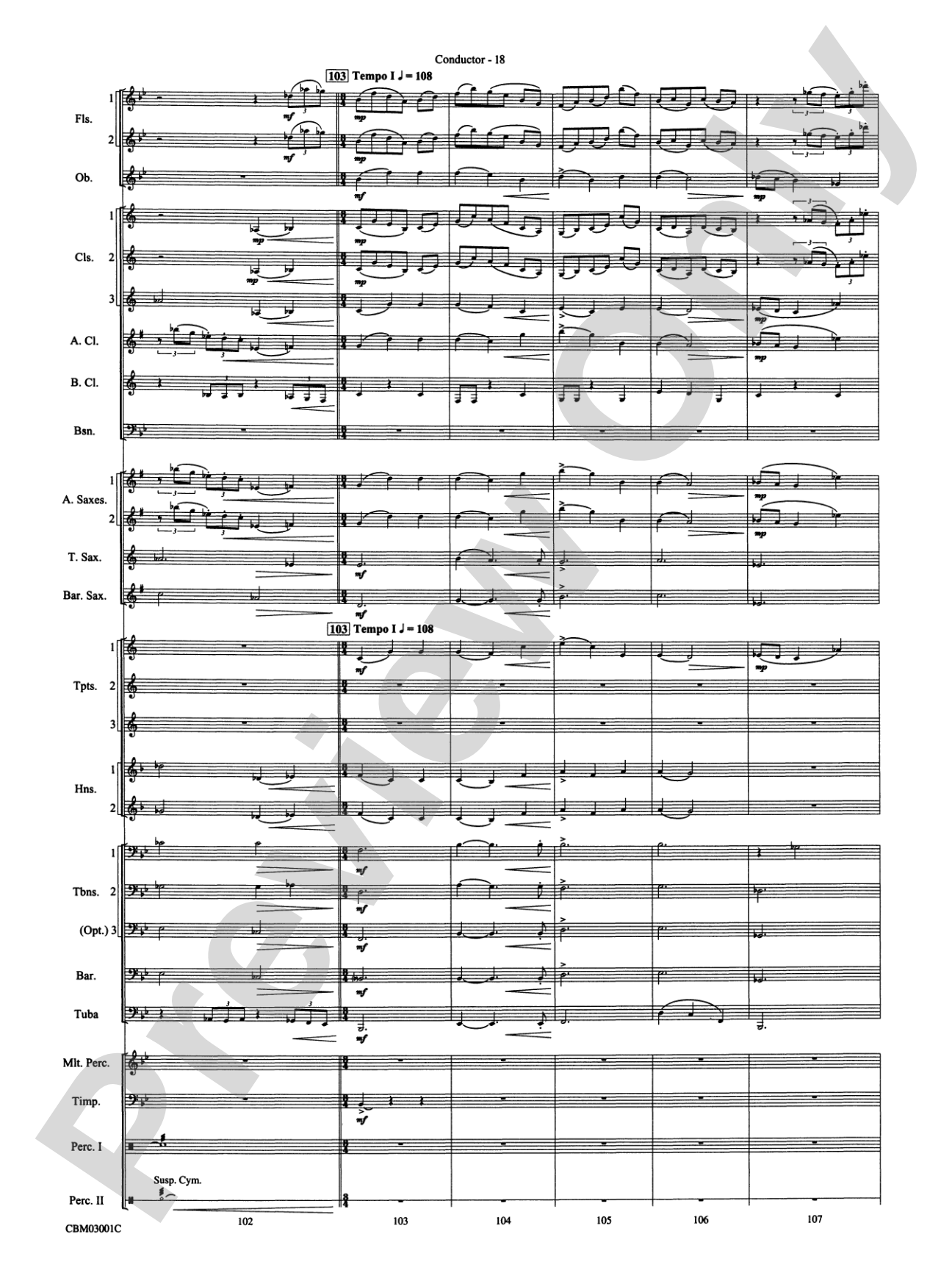 Harry's Wondrous World (from Harry Potter and the Chamber of Secrets): Concert Band Conductor Score & Parts