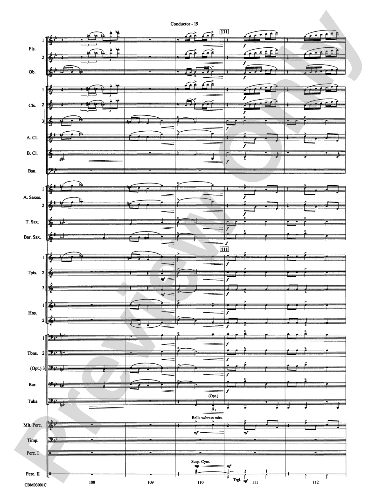 Harry's Wondrous World (from Harry Potter and the Chamber of Secrets): Concert Band Conductor Score & Parts