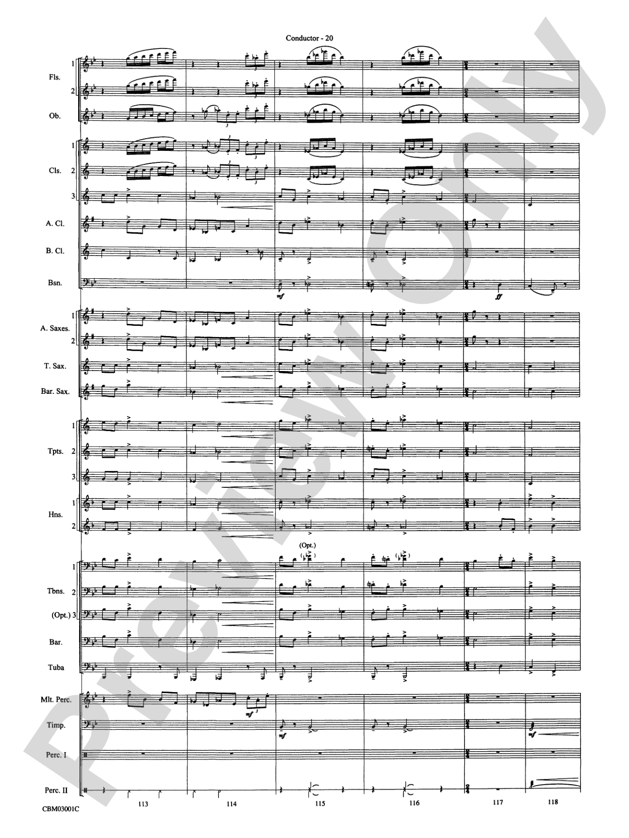 Harry's Wondrous World (from Harry Potter and the Chamber of Secrets): Concert Band Conductor Score & Parts