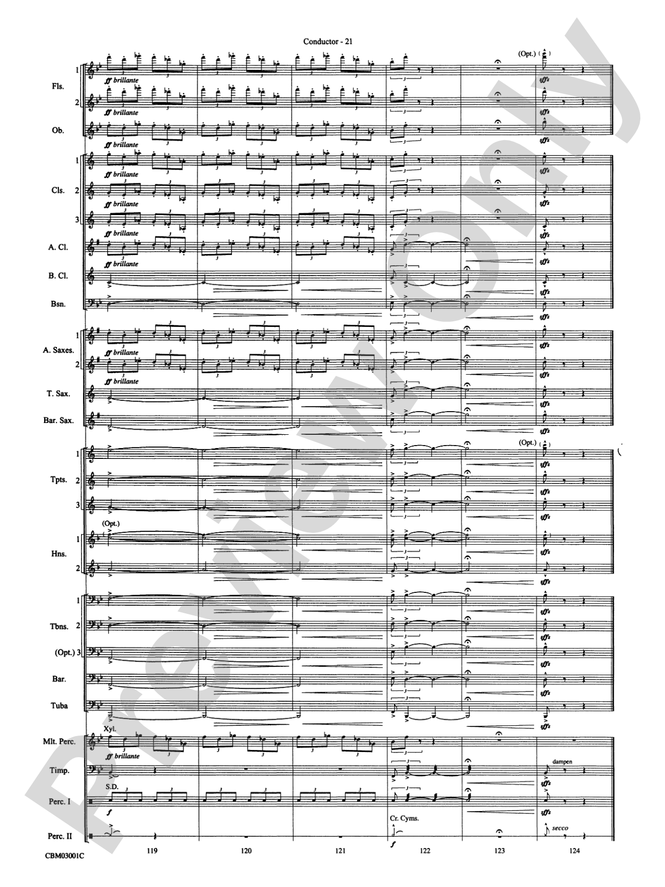 Harry's Wondrous World (from Harry Potter and the Chamber of Secrets): Concert Band Conductor Score & Parts