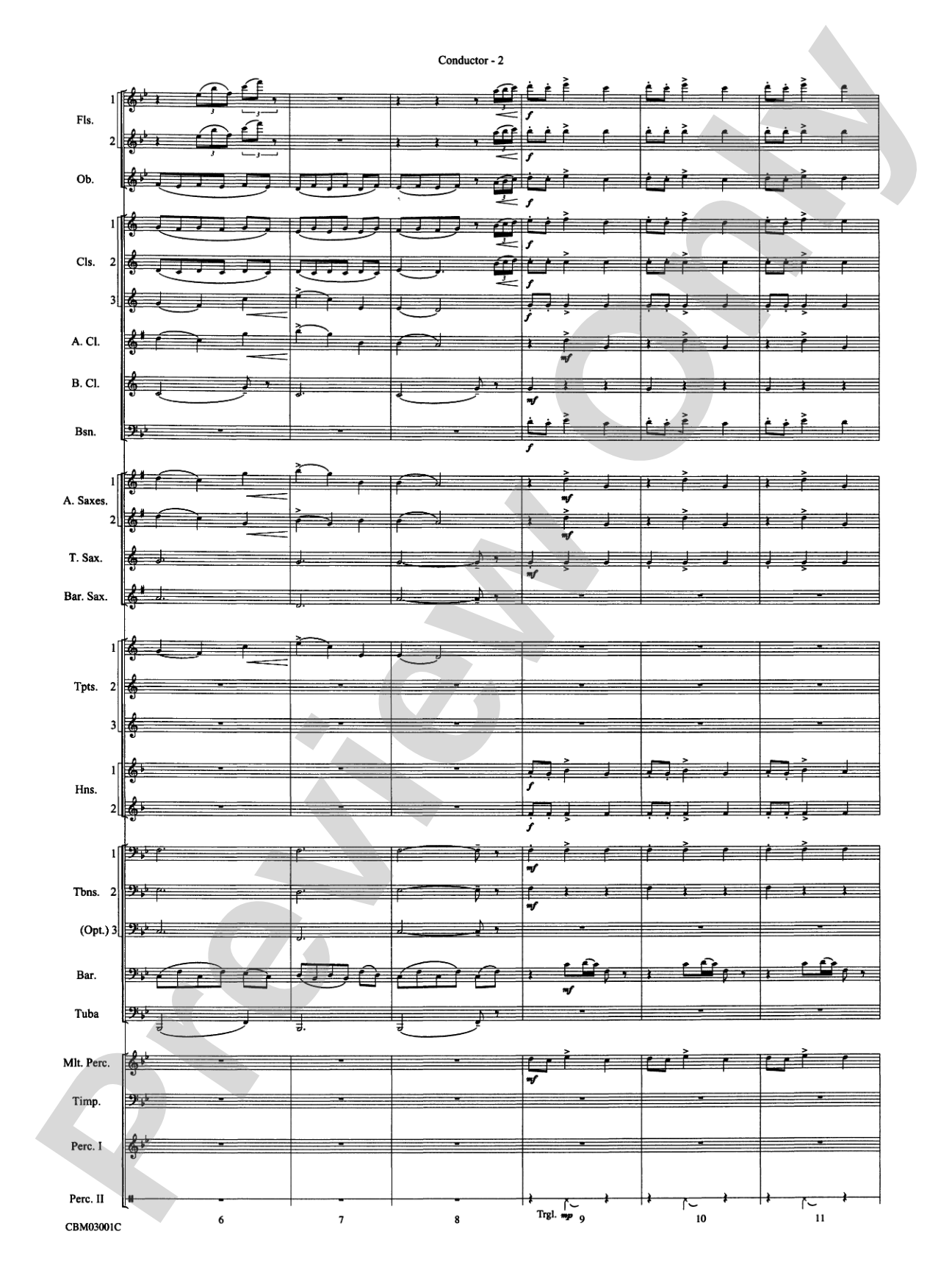 Harry's Wondrous World (from Harry Potter and the Chamber of Secrets): Concert Band Conductor Score & Parts