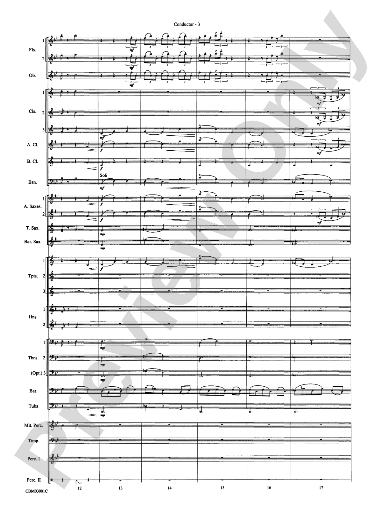Harry's Wondrous World (from Harry Potter and the Chamber of Secrets): Concert Band Conductor Score & Parts