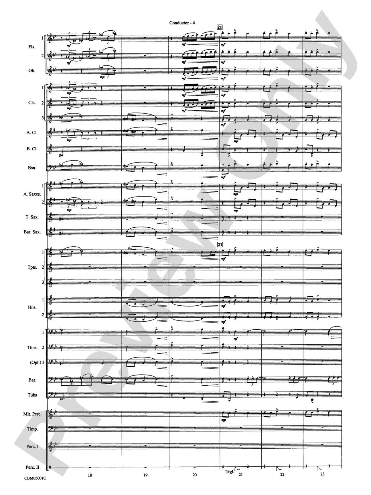 Harry's Wondrous World (from Harry Potter and the Chamber of Secrets): Concert Band Conductor Score & Parts