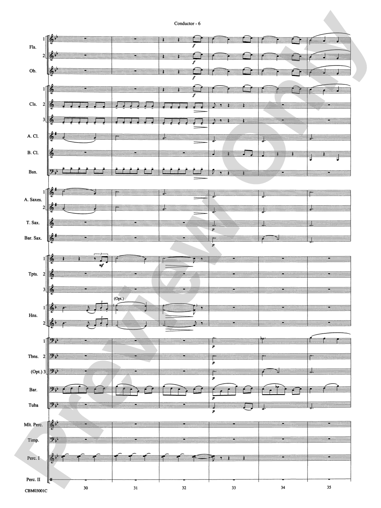 Harry's Wondrous World (from Harry Potter and the Chamber of Secrets): Concert Band Conductor Score & Parts