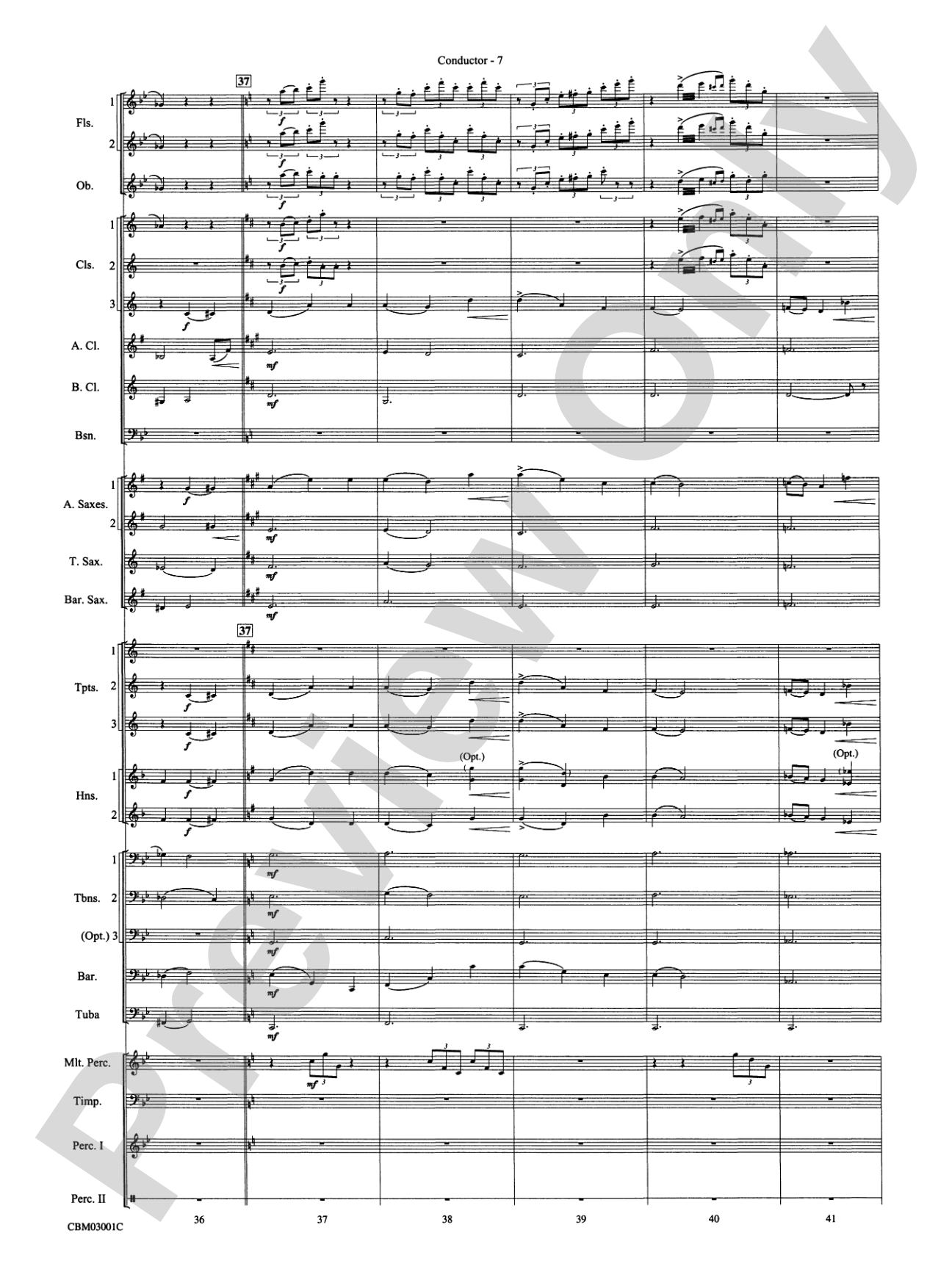 Harry's Wondrous World (from Harry Potter and the Chamber of Secrets): Concert Band Conductor Score & Parts