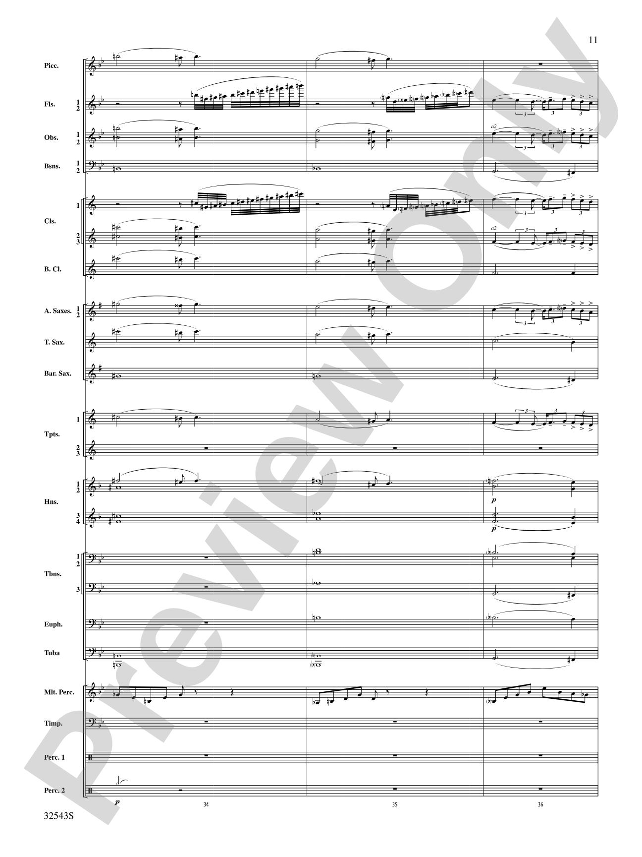 Sea Hawk: Concert Band Conductor Score & Parts