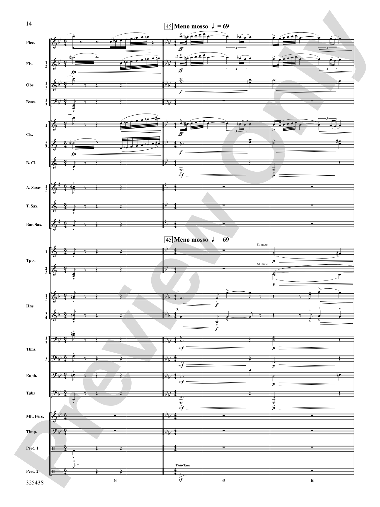 Sea Hawk: Concert Band Conductor Score & Parts