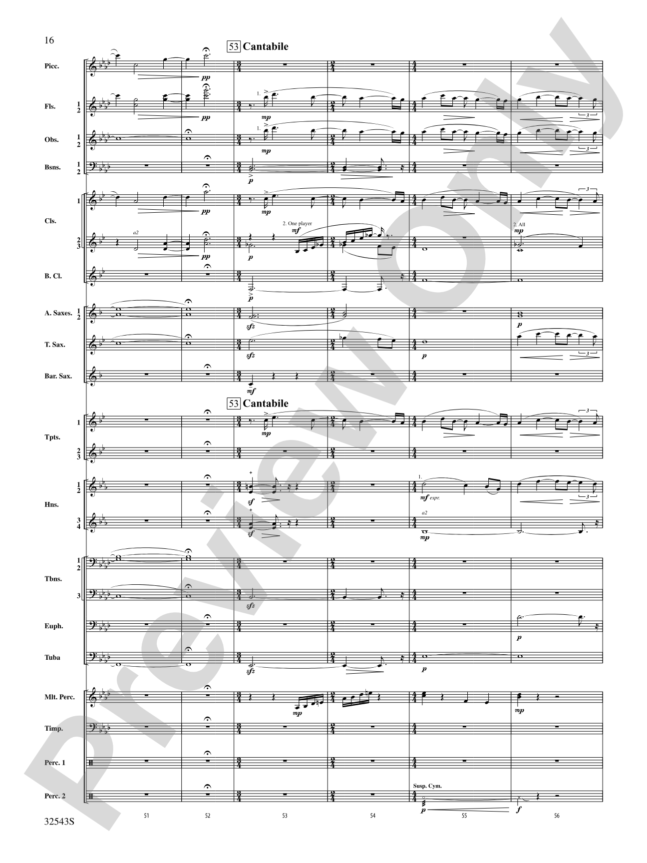 Sea Hawk: Concert Band Conductor Score & Parts