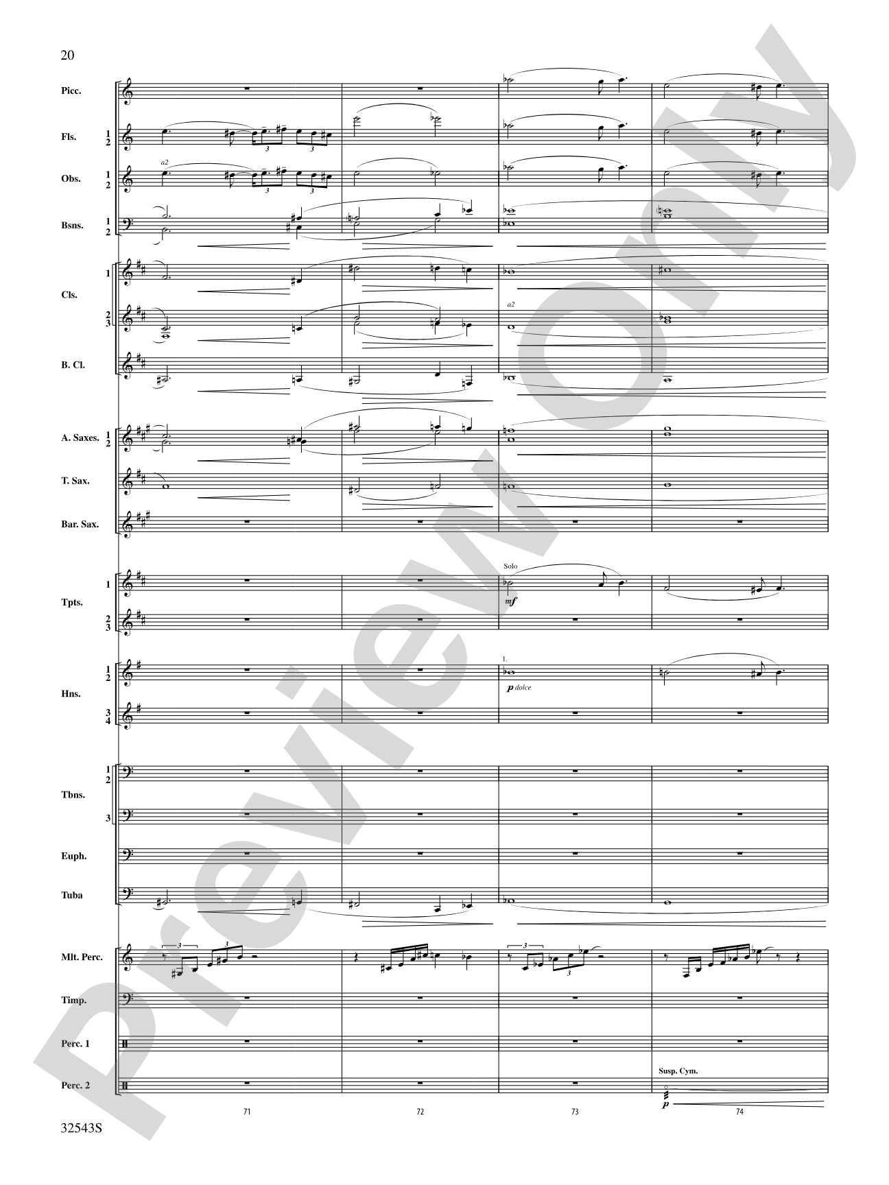 Sea Hawk: Concert Band Conductor Score & Parts