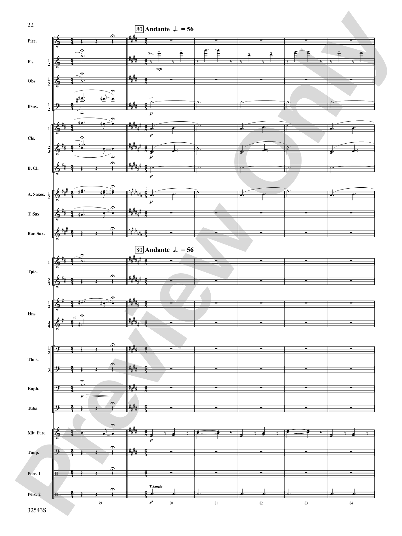 Sea Hawk: Concert Band Conductor Score & Parts