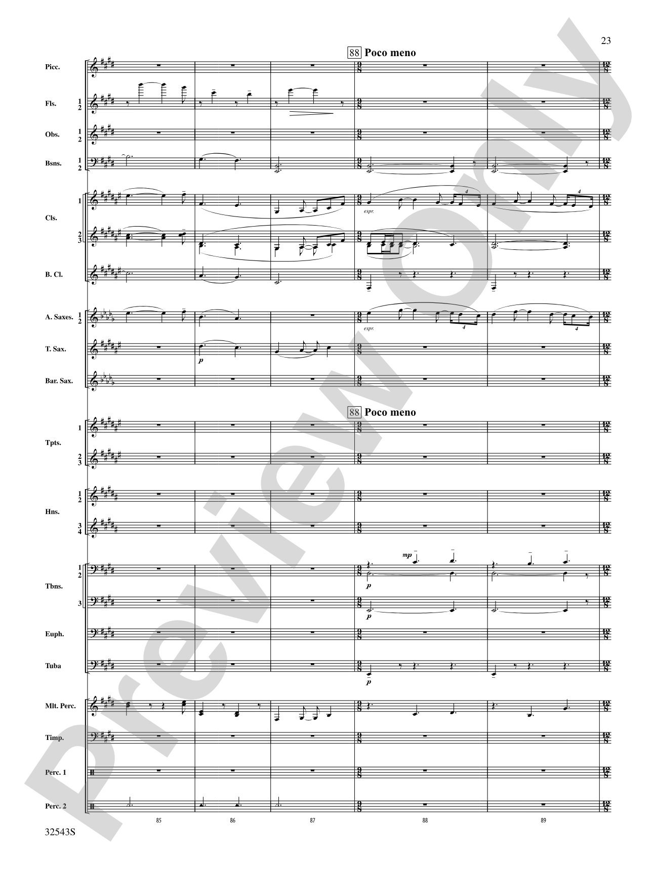 Sea Hawk: Concert Band Conductor Score & Parts