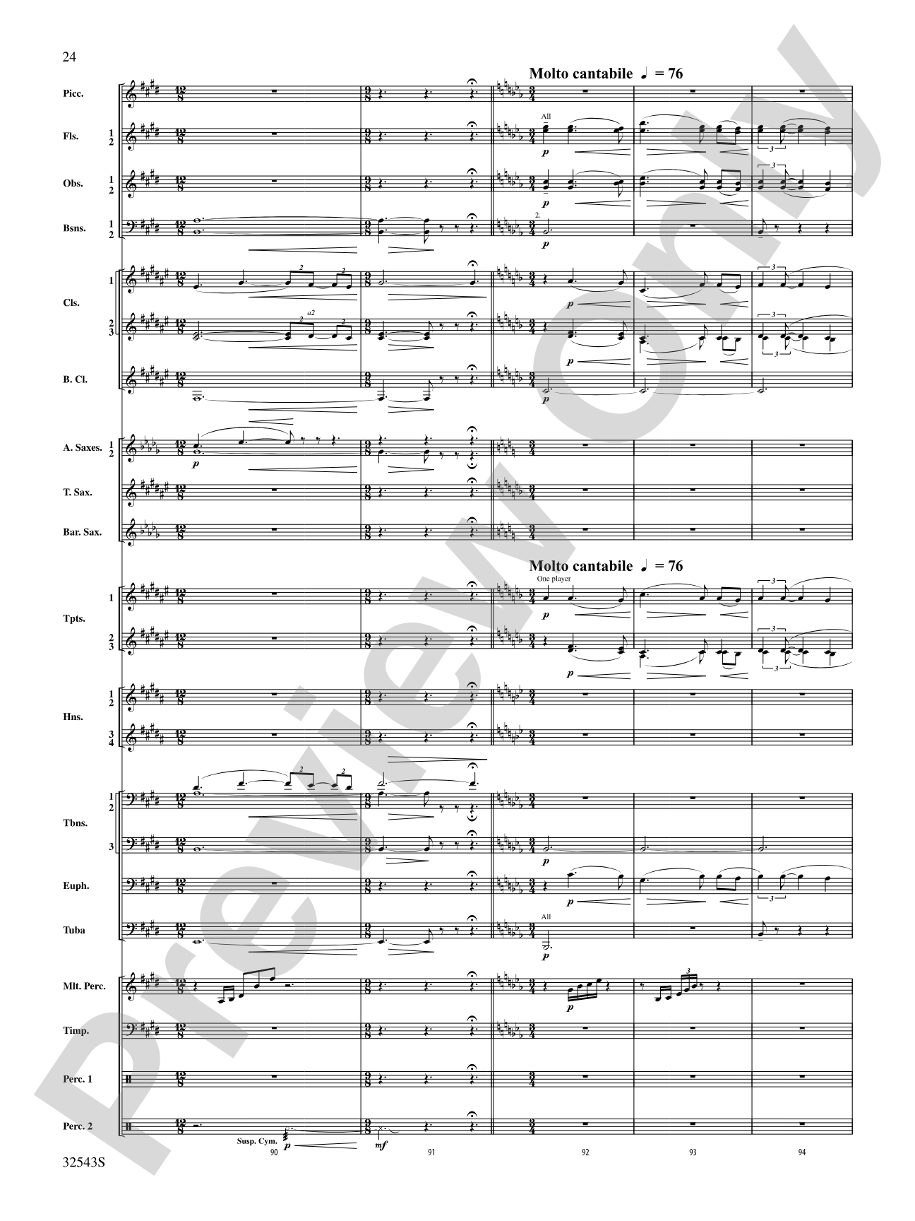 Sea Hawk: Concert Band Conductor Score & Parts