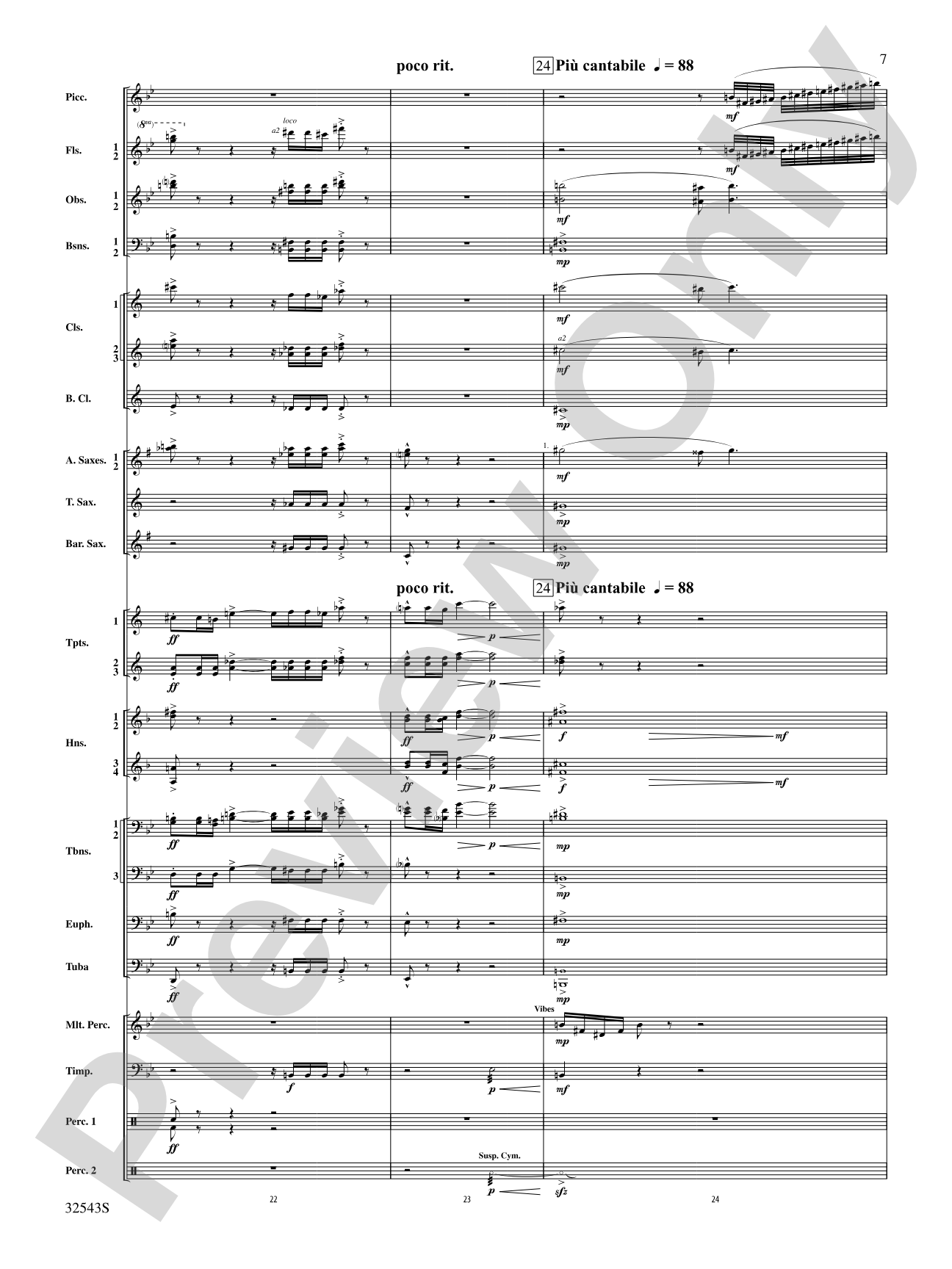 Sea Hawk: Concert Band Conductor Score & Parts