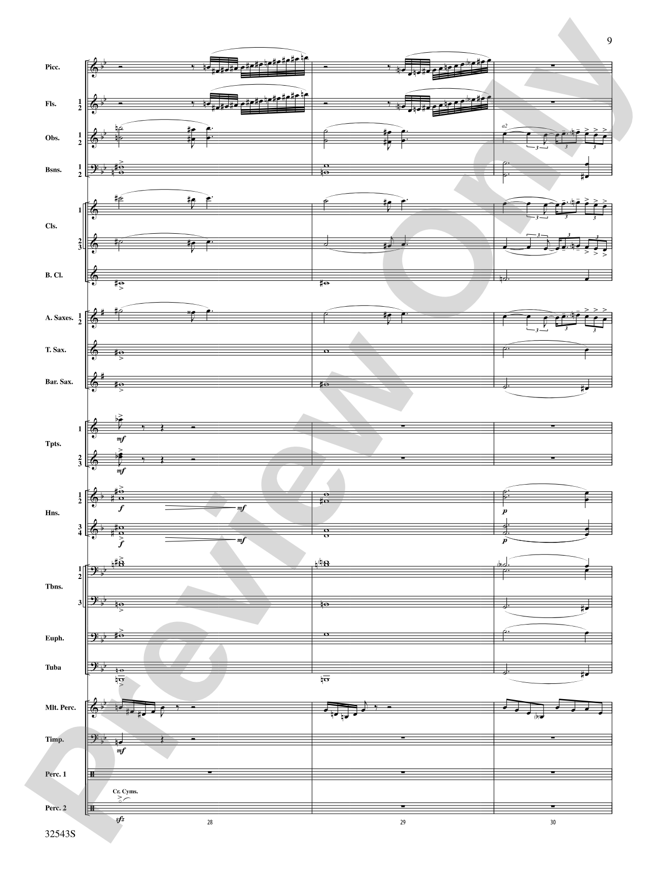 Sea Hawk: Concert Band Conductor Score & Parts