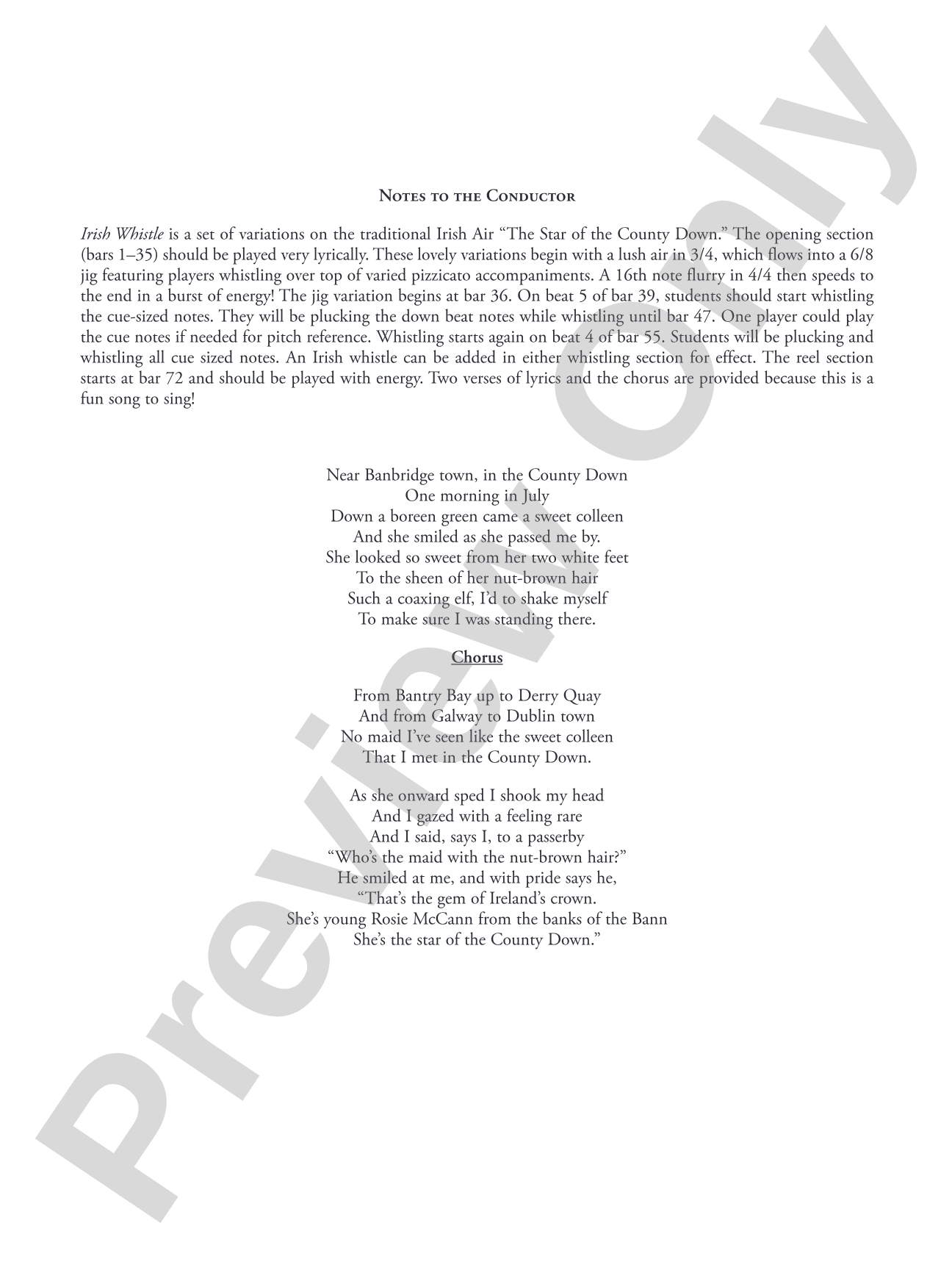 Irish Whistle: Score