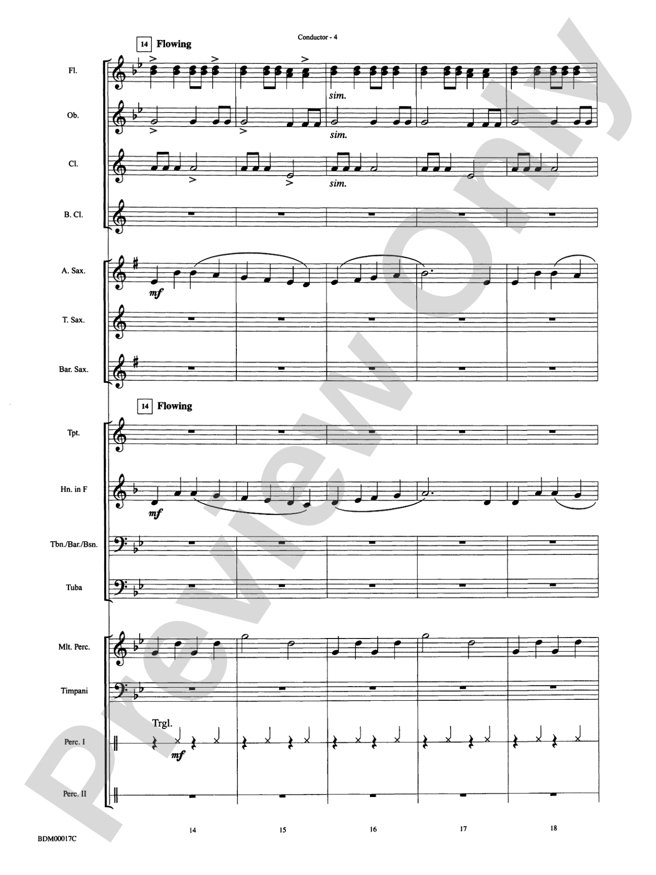 Tidings of Joy!: Concert Band Conductor Score & Parts
