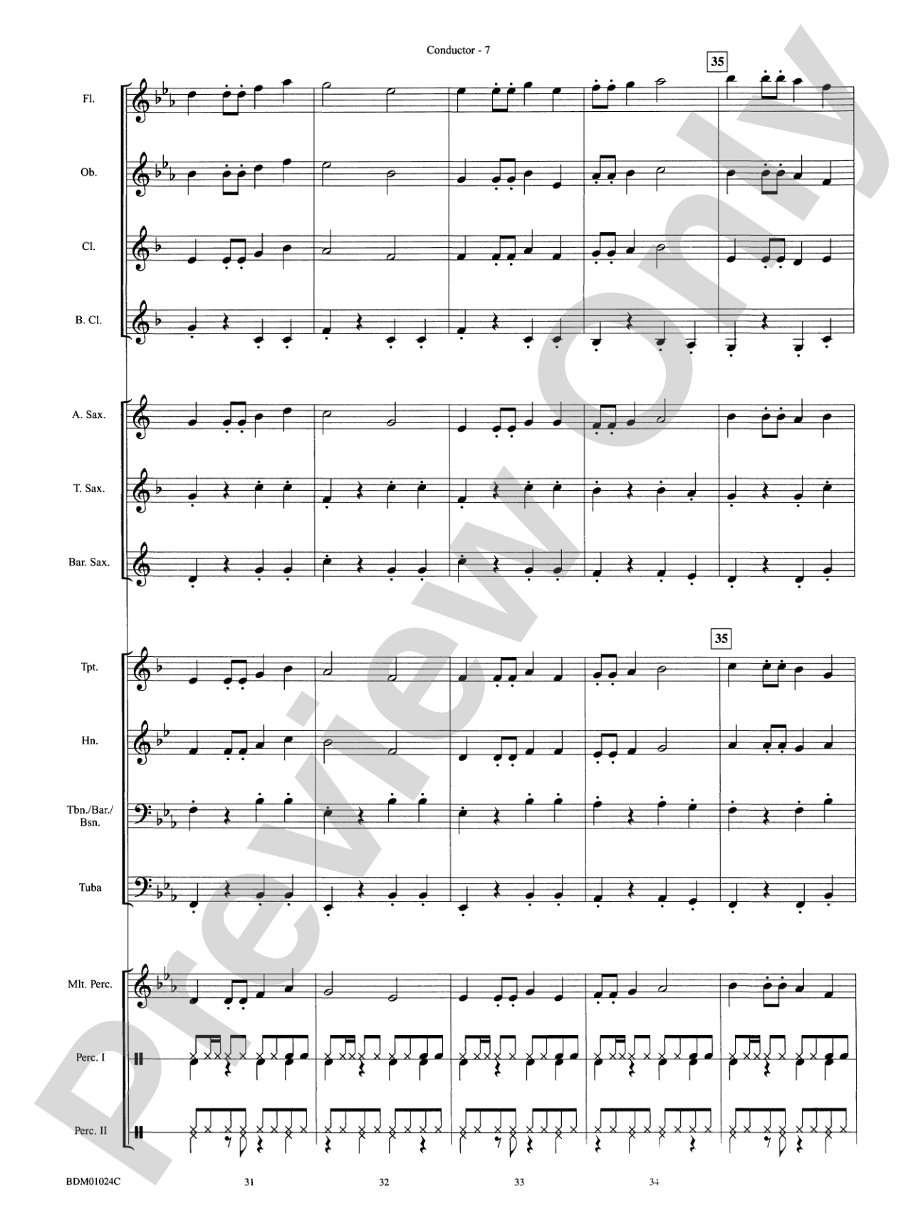 Caribbean Delight: Concert Band Conductor Score & Parts