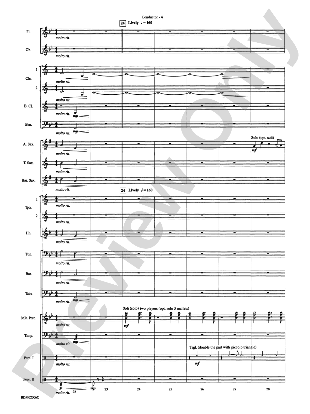 When Summer Takes Flight: Concert Band Conductor Score & Parts