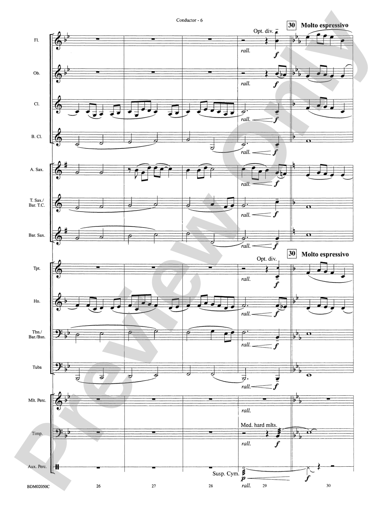 In the Wake of Spring: Concert Band Conductor Score & Parts