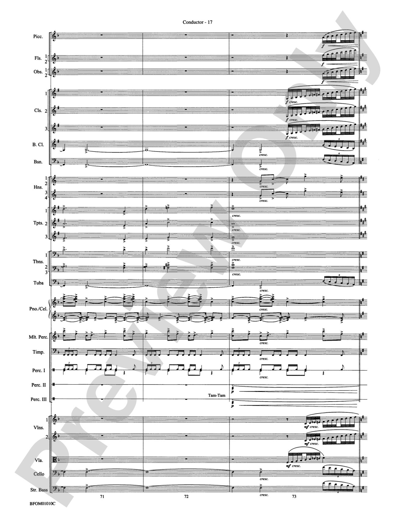 Paradiso (from The Divine Comedy): Full Orchestra Conductor Score & Parts