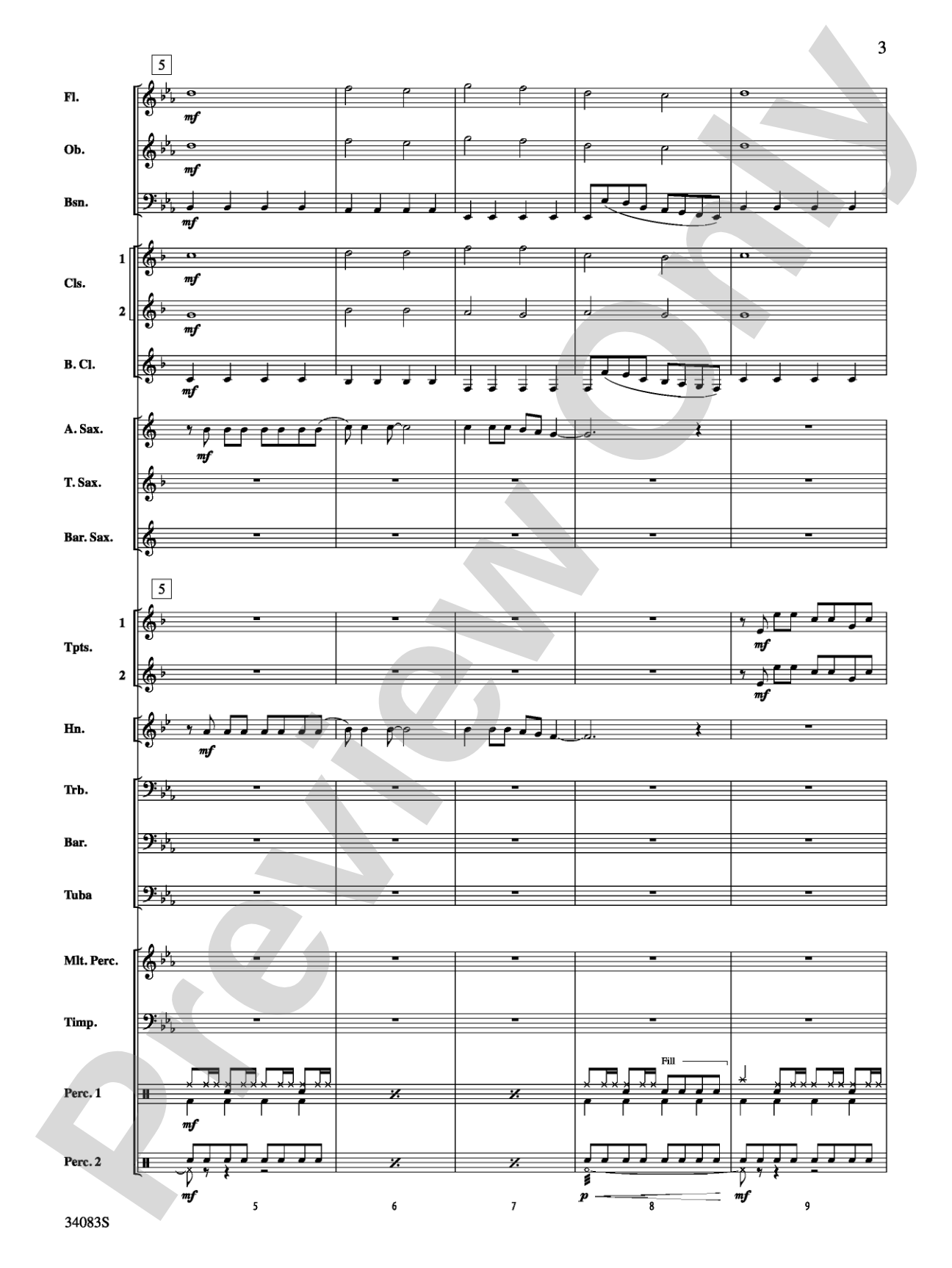 Born This Way: Concert Band Conductor Score & Parts