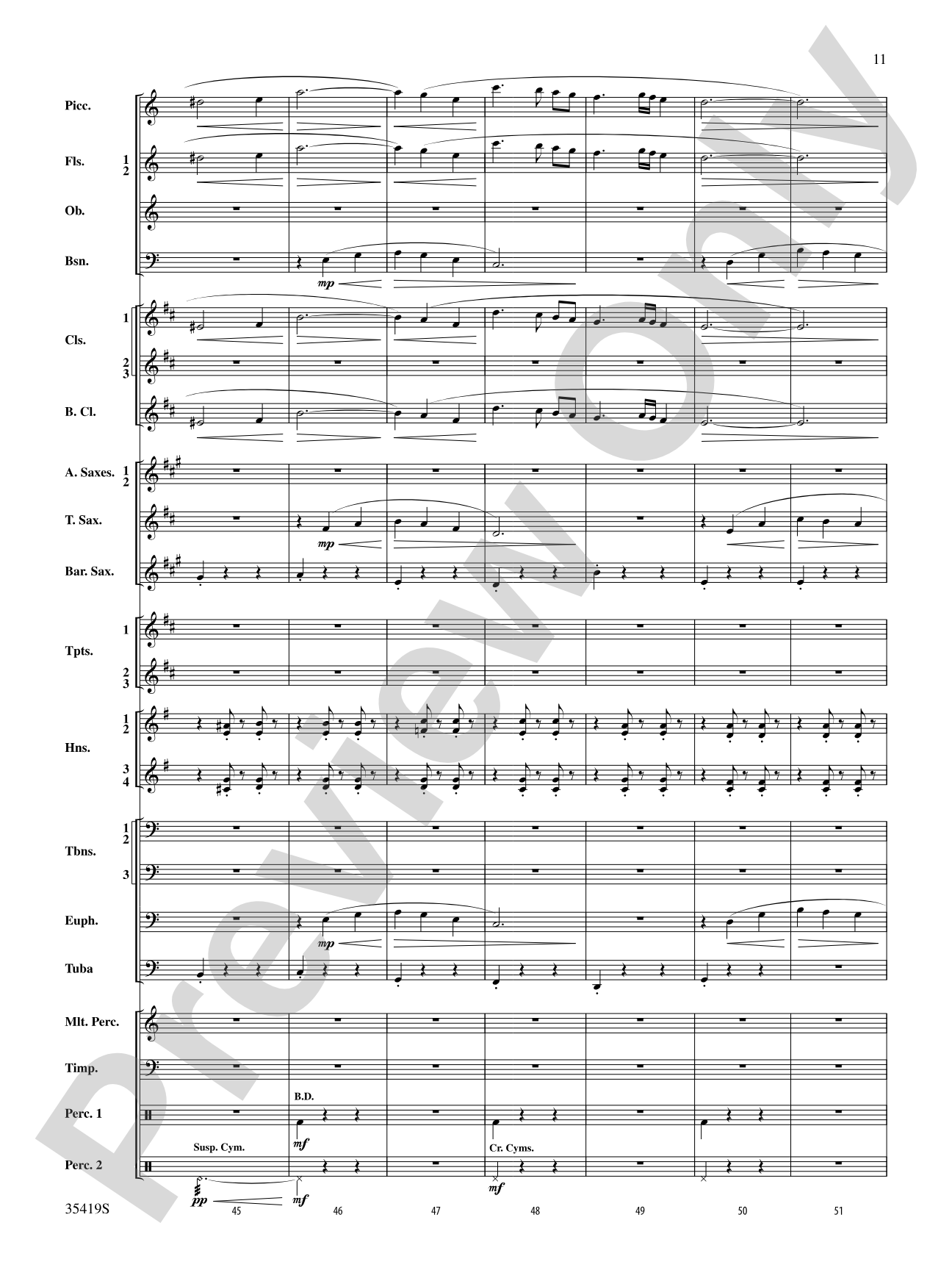 Coyote Falls (from Looney Tunes 3D): Concert Band Conductor Score & Parts