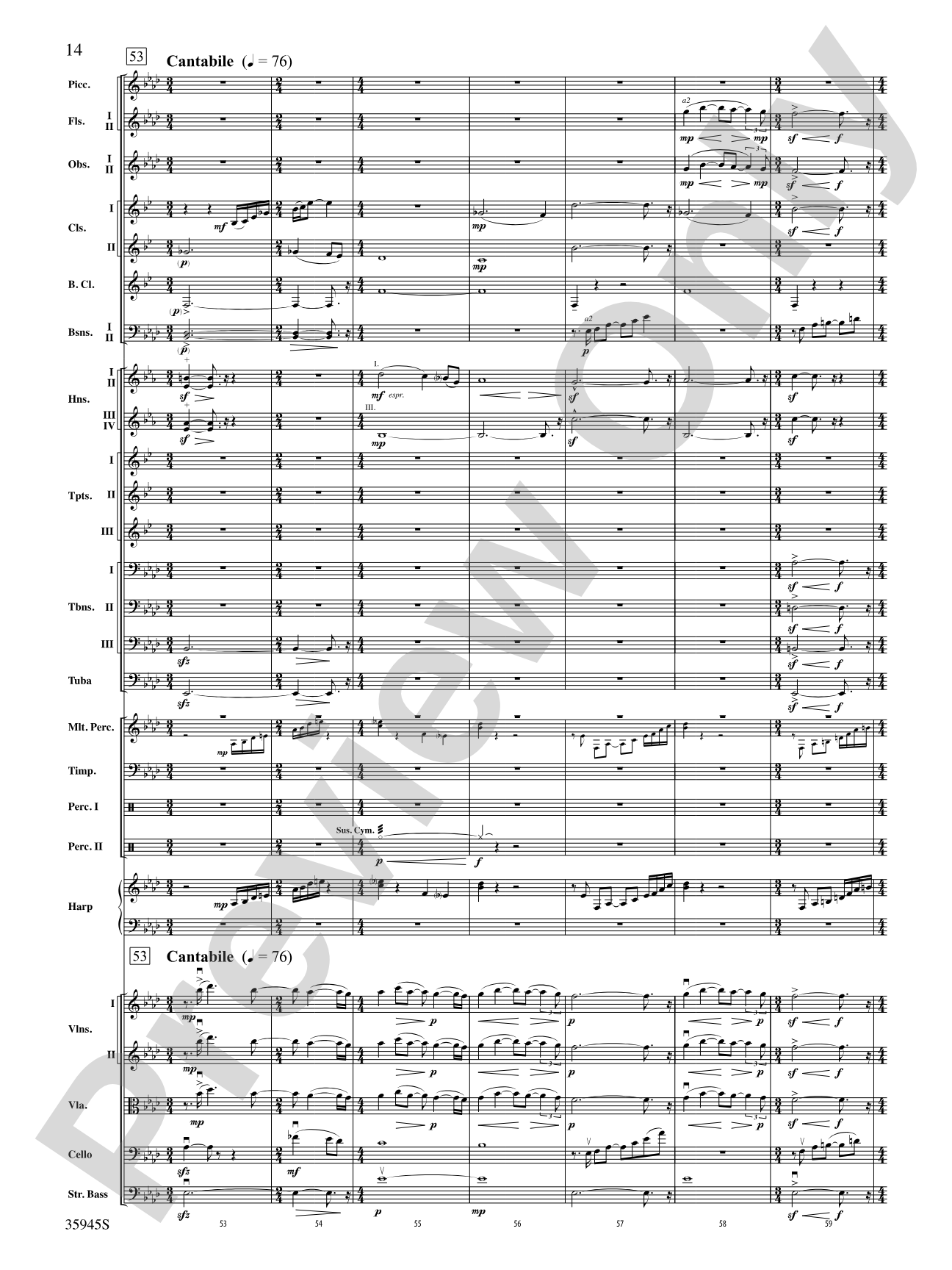 The Sea Hawk: Full Orchestra Conductor Score & Parts
