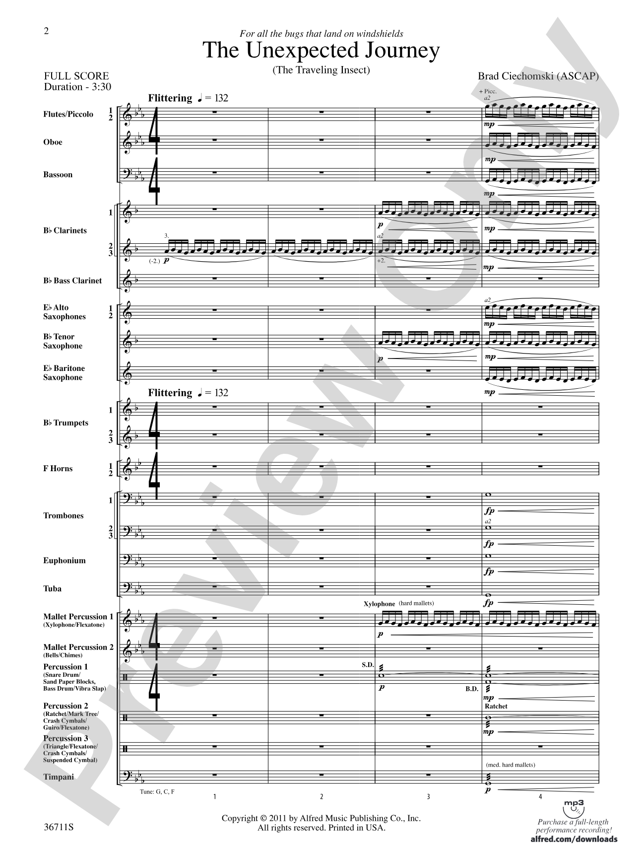 The Unexpected Journey: Concert Band Conductor Score & Parts