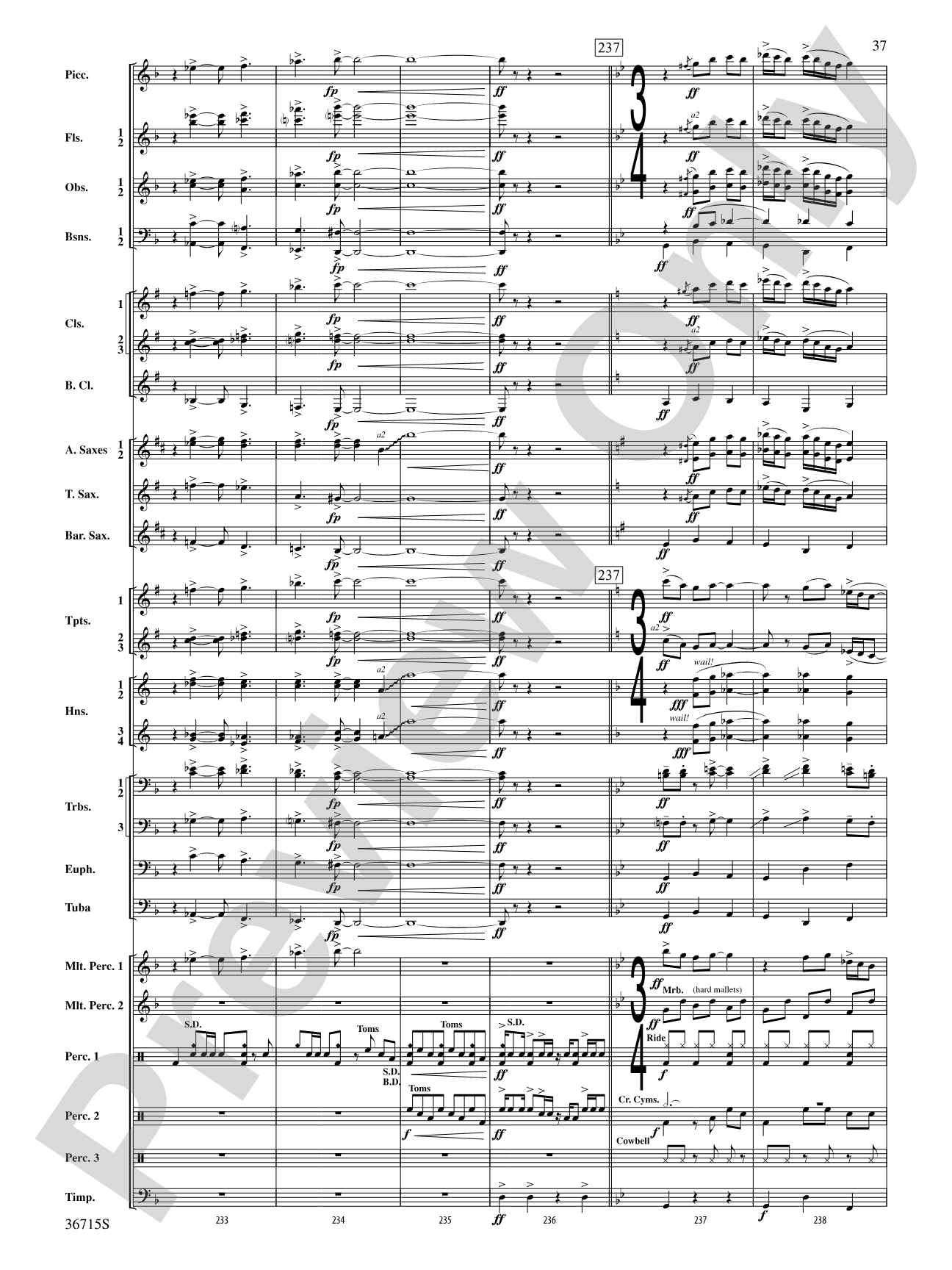 See Rock City: Concert Band Conductor Score & Parts