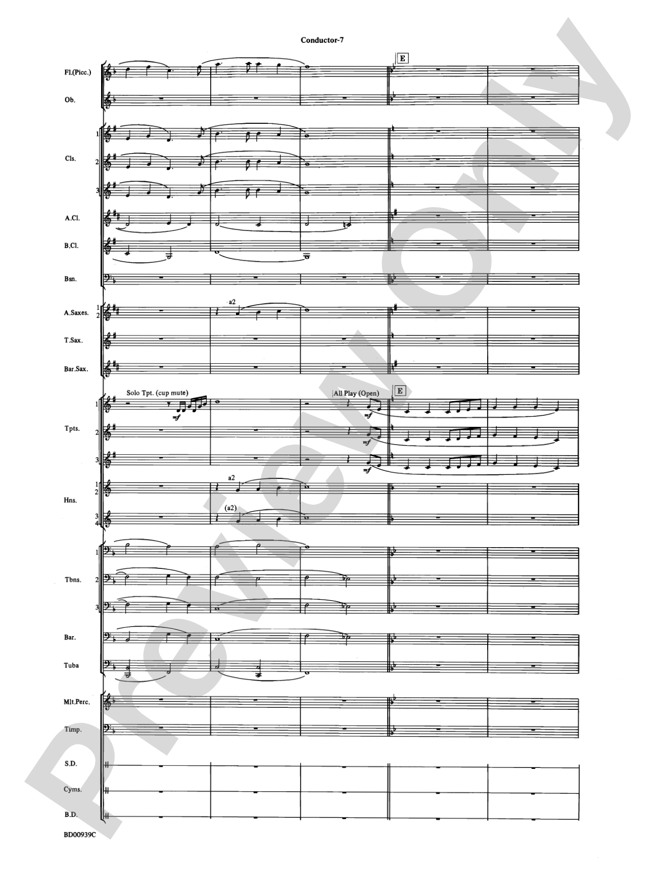 The Civil War: Concert Band Conductor Score & Parts