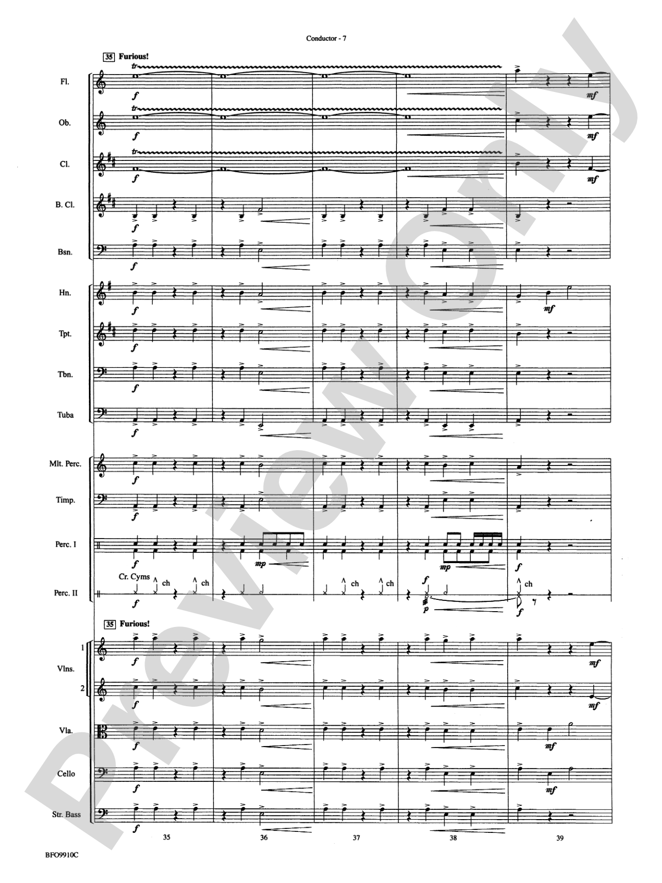 The Sound and the Fury: Full Orchestra Conductor Score & Parts