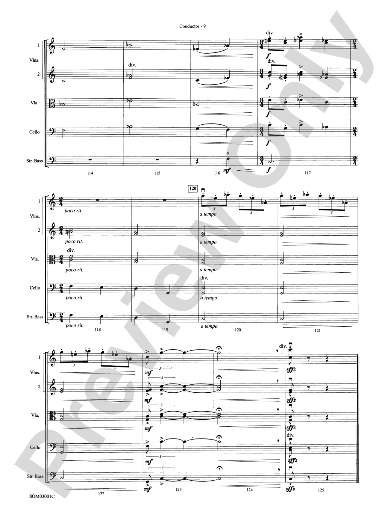 Harry's Wondrous World (from Harry Potter and the Chamber of Secrets): String Orchestra Conductor Score & Parts