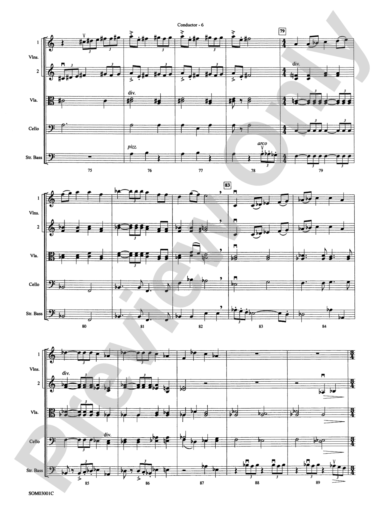 Harry's Wondrous World (from Harry Potter and the Chamber of Secrets): String Orchestra Conductor Score & Parts