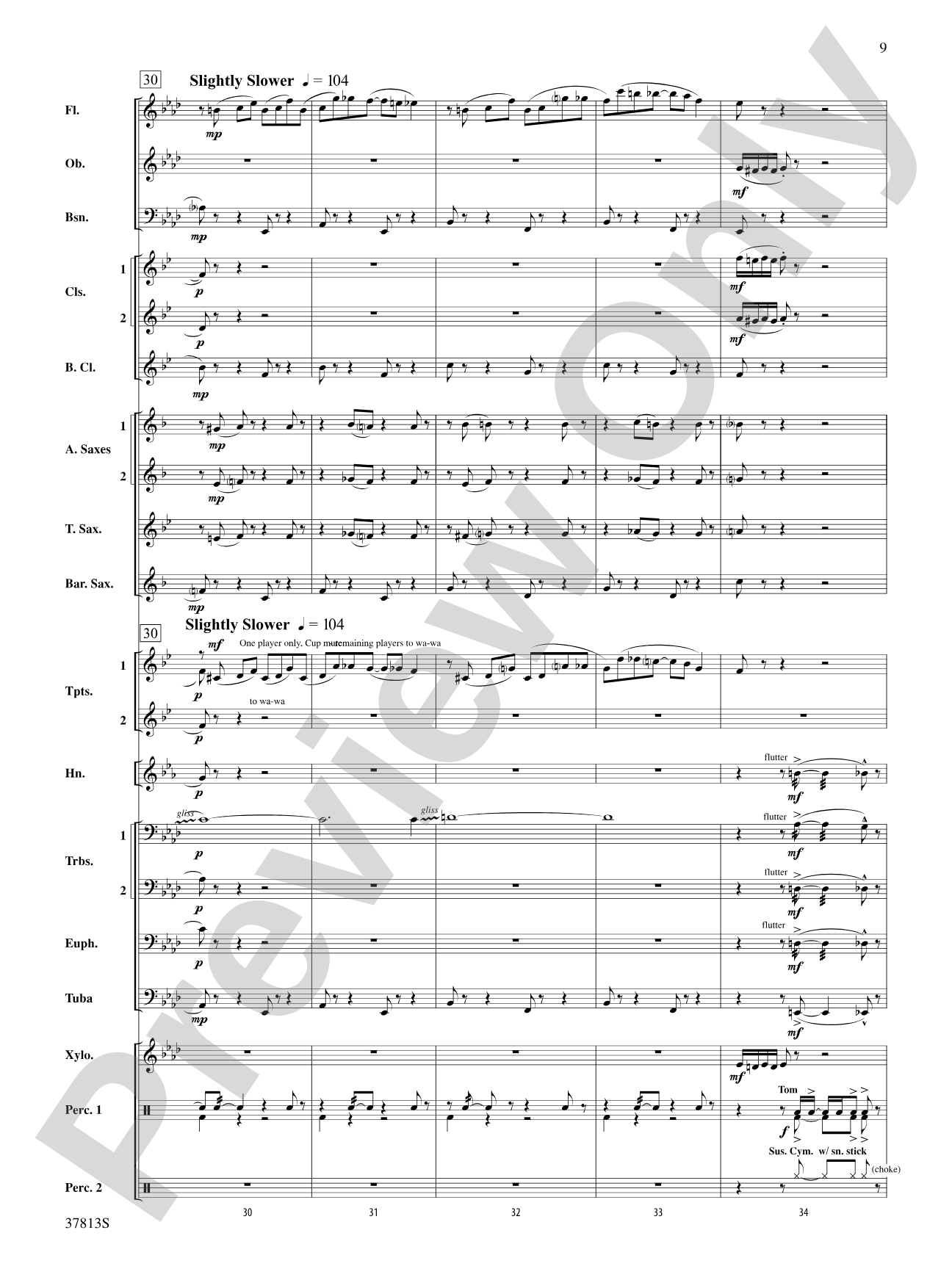 Ants in My Pants: Concert Band Conductor Score & Parts