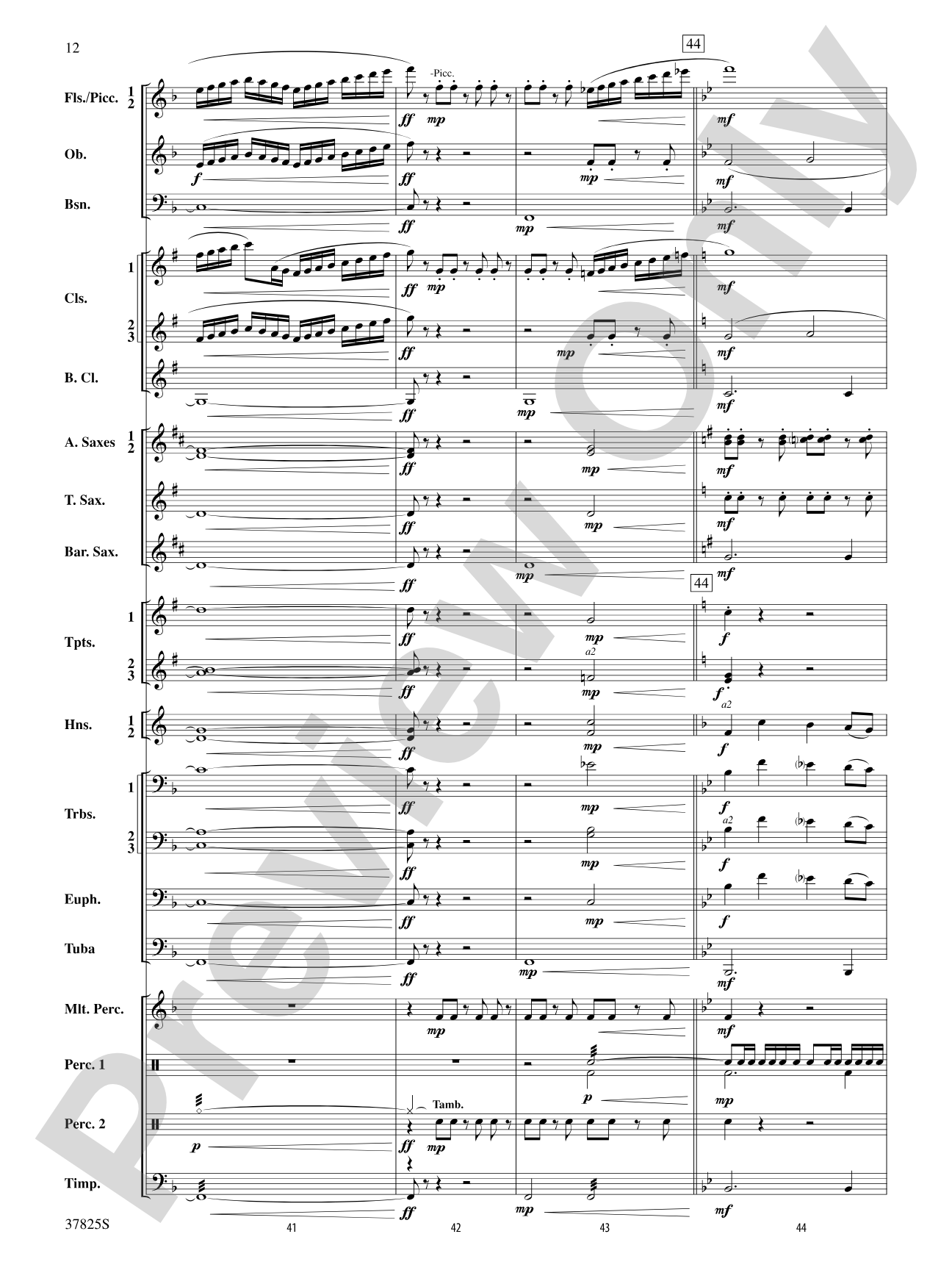Savannah River Rhapsody: Concert Band Conductor Score & Parts