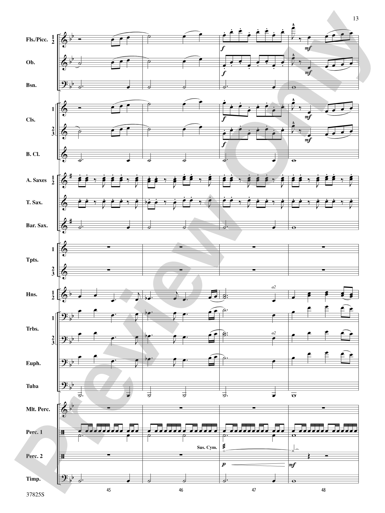 Savannah River Rhapsody: Concert Band Conductor Score & Parts