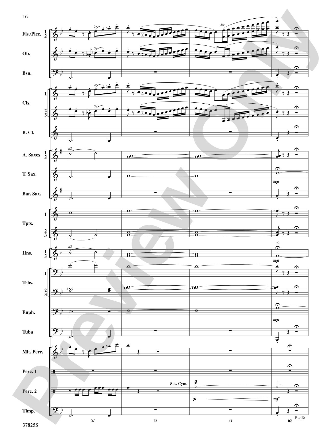 Savannah River Rhapsody: Concert Band Conductor Score & Parts