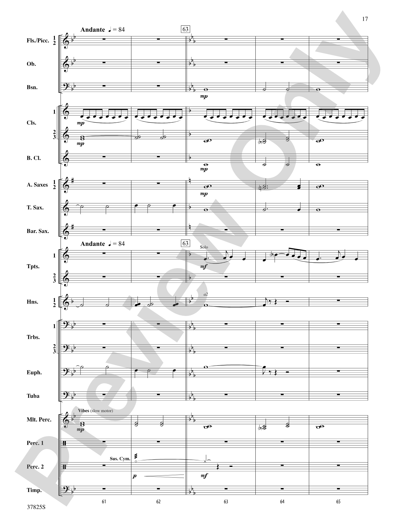 Savannah River Rhapsody: Concert Band Conductor Score & Parts